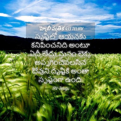 Picture 04 - హెబ్రీ పత్రిక 4:13 TELIRV - సృష్టిలో ఆయనకు - Bible Verse Picture