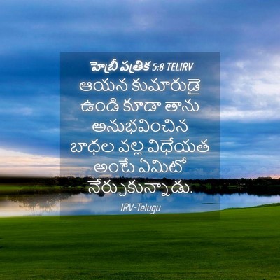 Picture 04 - హెబ్రీ పత్రిక 5:8 TELIRV - ఆయన కుమారుడై ఉండి - Bible Verse Picture