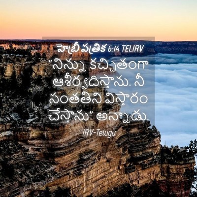 Picture 04 - హెబ్రీ పత్రిక 6:14 TELIRV - “నిన్ను కచ్చితంగా - Bible Verse Picture