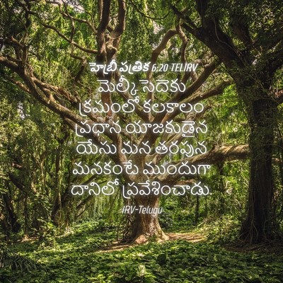 Picture 04 - హెబ్రీ పత్రిక 6:20 TELIRV - మెల్కీసెదెకు - Bible Verse Picture
