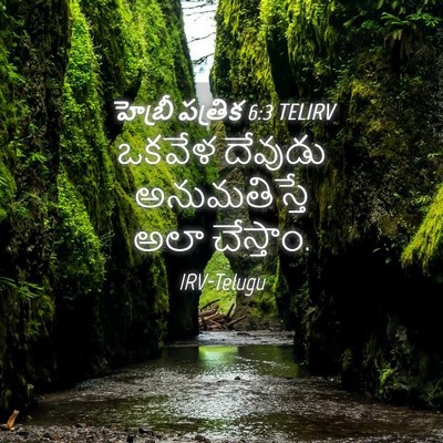 Picture 04 - హెబ్రీ పత్రిక 6:3 TELIRV - ఒకవేళ దేవుడు - Bible Verse Picture