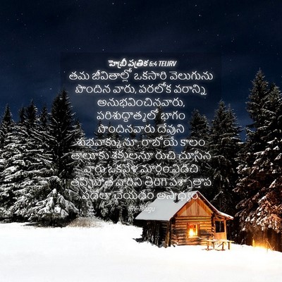 Picture 04 - హెబ్రీ పత్రిక 6:4 TELIRV - తమ జీవితాల్లో - Bible Verse Picture