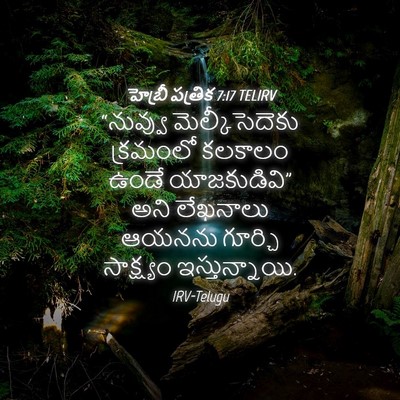Picture 04 - హెబ్రీ పత్రిక 7:17 TELIRV - “నువ్వు - Bible Verse Picture