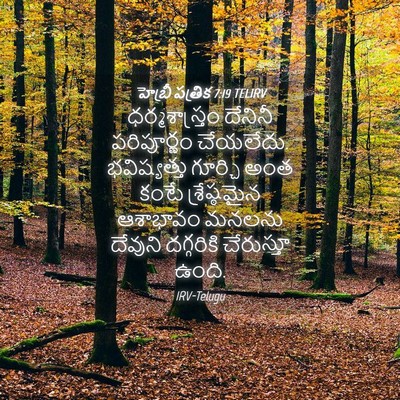 Picture 04 - హెబ్రీ పత్రిక 7:19 TELIRV - ధర్మశాస్త్రం - Bible Verse Picture