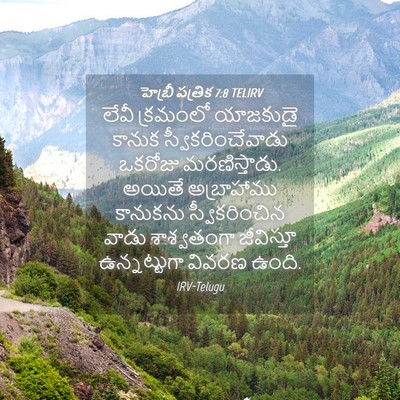 Picture 04 - హెబ్రీ పత్రిక 7:8 TELIRV - లేవీ క్రమంలో - Bible Verse Picture