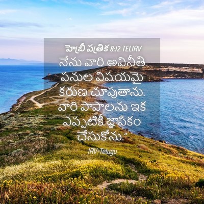 Picture 04 - హెబ్రీ పత్రిక 8:12 TELIRV - నేను వారి అవినీతి - Bible Verse Picture