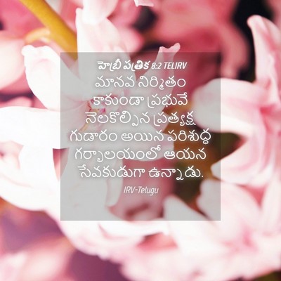 Picture 04 - హెబ్రీ పత్రిక 8:2 TELIRV - మానవ నిర్మితం - Bible Verse Picture