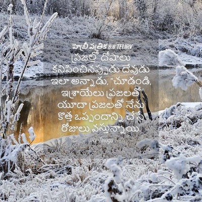 Picture 04 - హెబ్రీ పత్రిక 8:8 TELIRV - ప్రజల్లో దోషాలు - Bible Verse Picture