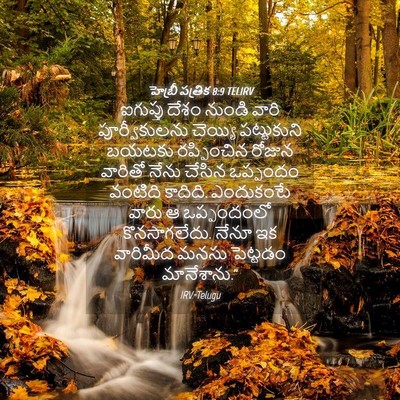 Picture 04 - హెబ్రీ పత్రిక 8:9 TELIRV - ఐగుప్తు దేశం - Bible Verse Picture