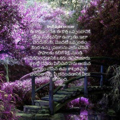 Picture 04 - హెబ్రీ పత్రిక 9:15 TELIRV - ఈ కారణం చేత ఈ కొత్త - Bible Verse Picture