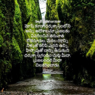 Picture 04 - హెబ్రీ పత్రిక 9:19 TELIRV - మోషే కూడా - Bible Verse Picture