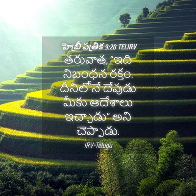 Picture 04 - హెబ్రీ పత్రిక 9:20 TELIRV - తరువాత, “ఇది - Bible Verse Picture