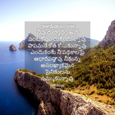 Picture 04 - హోషేయ 10:13 TELIRV - నీవు దుర్మార్గం - Bible Verse Picture