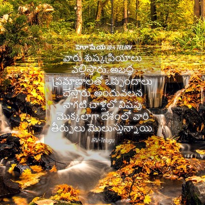Picture 04 - హోషేయ 10:4 TELIRV - వారు - Bible Verse Picture