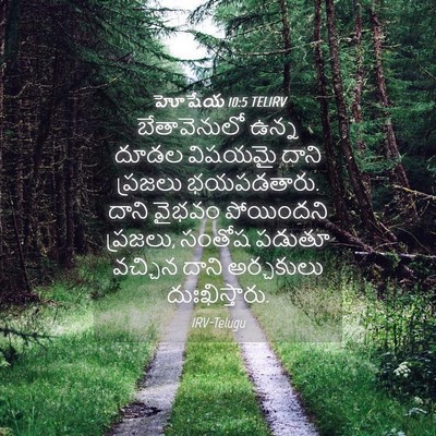 Picture 04 - హోషేయ 10:5 TELIRV - బేతావెనులో ఉన్న - Bible Verse Picture