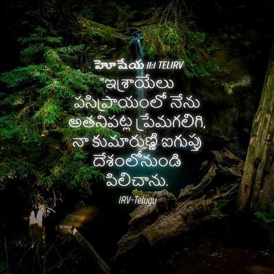 Picture 04 - హోషేయ 11:1 TELIRV - “ఇశ్రాయేలు - Bible Verse Picture