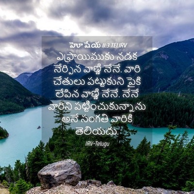 Picture 04 - హోషేయ 11:3 TELIRV - ఎఫ్రాయిముకు నడక - Bible Verse Picture