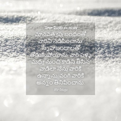 Picture 04 - హోషేయ 11:4 TELIRV - మానవత్వపు బంధంతో - Bible Verse Picture