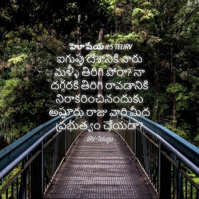 Picture 04 - హోషేయ 11:5 TELIRV - ఐగుప్తు దేశానికి - Bible Verse Picture