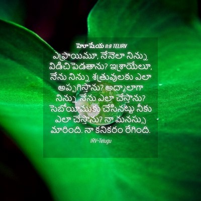 Picture 04 - హోషేయ 11:8 TELIRV - ఎఫ్రాయిమూ, నేనెలా - Bible Verse Picture
