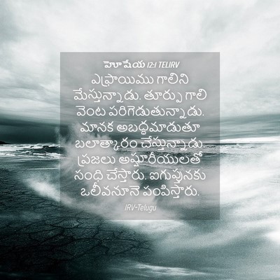 Picture 04 - హోషేయ 12:1 TELIRV - ఎఫ్రాయిము గాలిని - Bible Verse Picture
