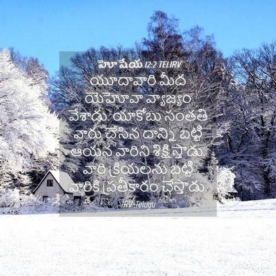 Picture 04 - హోషేయ 12:2 TELIRV - యూదావారి మీద - Bible Verse Picture