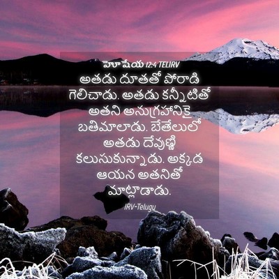 Picture 04 - హోషేయ 12:4 TELIRV - అతడు దూతతో పోరాడి - Bible Verse Picture