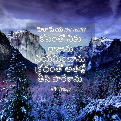 Picture 04 - హోషేయ 13:11 TELIRV - కోపంతో నీకు - Bible Verse Picture
