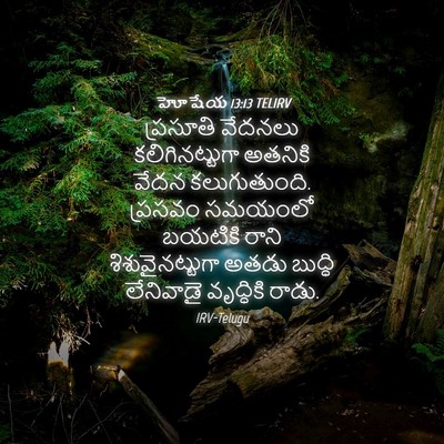 Picture 04 - హోషేయ 13:13 TELIRV - ప్రసూతి వేదనలు - Bible Verse Picture