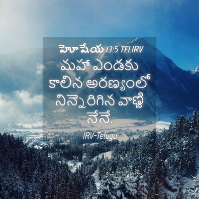 Picture 04 - హోషేయ 13:5 TELIRV - మహా ఎండకు కాలిన - Bible Verse Picture
