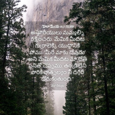Picture 04 - హోషేయ 14:3 TELIRV - అష్షూరీయులు - Bible Verse Picture