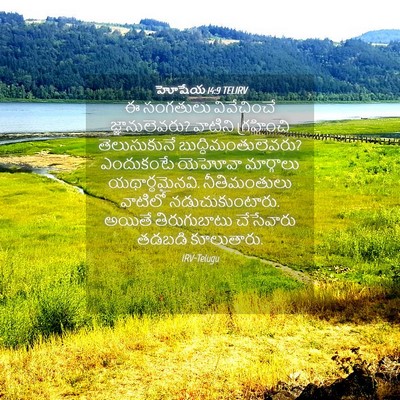 Picture 04 - హోషేయ 14:9 TELIRV - ఈ సంగతులు - Bible Verse Picture