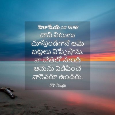 Picture 04 - హోషేయ 2:10 TELIRV - దాని విటులు - Bible Verse Picture