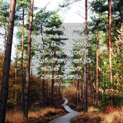 Picture 04 - హోషేయ 2:14 TELIRV - ఆ తరవాత ఆమెను - Bible Verse Picture