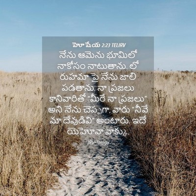Picture 04 - హోషేయ 2:23 TELIRV - నేను ఆమెను భూమిలో - Bible Verse Picture