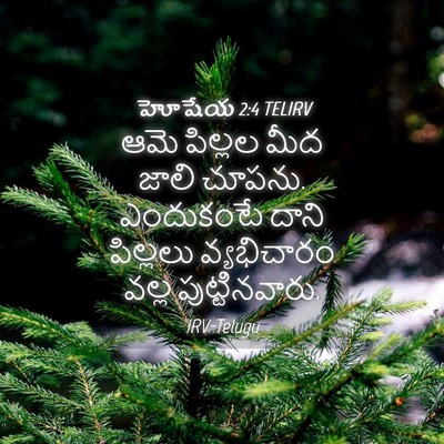 Picture 04 - హోషేయ 2:4 TELIRV - ఆమె పిల్లల మీద - Bible Verse Picture