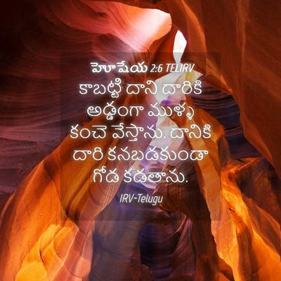 Picture 04 - హోషేయ 2:6 TELIRV - కాబట్టి దాని - Bible Verse Picture