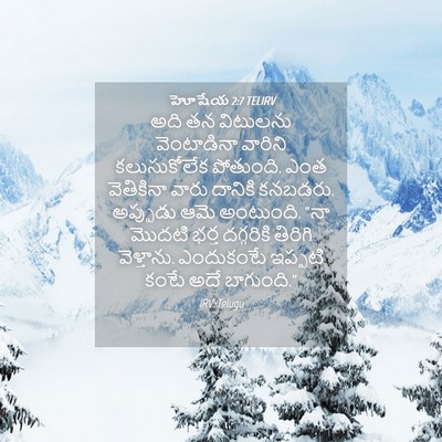 Picture 04 - హోషేయ 2:7 TELIRV - అది తన విటులను - Bible Verse Picture