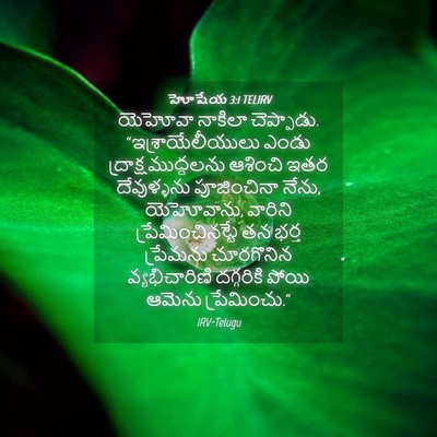 Picture 04 - హోషేయ 3:1 TELIRV - యెహోవా నాకిలా - Bible Verse Picture