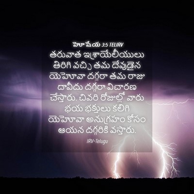 Picture 04 - హోషేయ 3:5 TELIRV - తరువాత - Bible Verse Picture