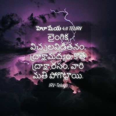 Picture 04 - హోషేయ 4:11 TELIRV - లైంగిక - Bible Verse Picture