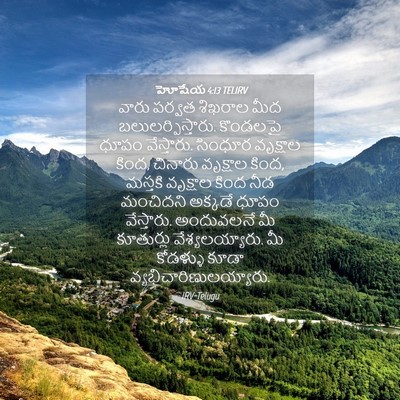 Picture 04 - హోషేయ 4:13 TELIRV - వారు పర్వత శిఖరాల - Bible Verse Picture