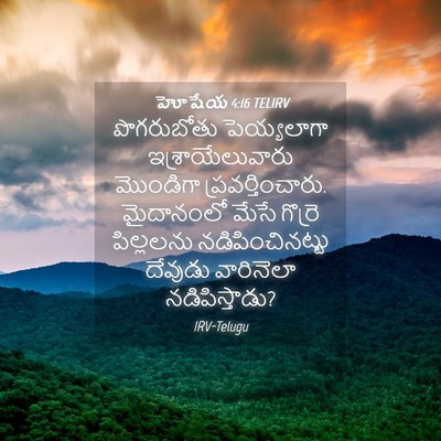 Picture 04 - హోషేయ 4:16 TELIRV - పొగరుబోతు - Bible Verse Picture