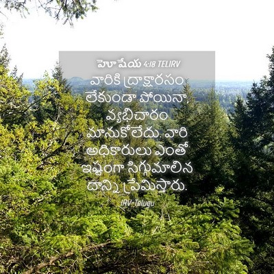 Picture 04 - హోషేయ 4:18 TELIRV - వారికి - Bible Verse Picture