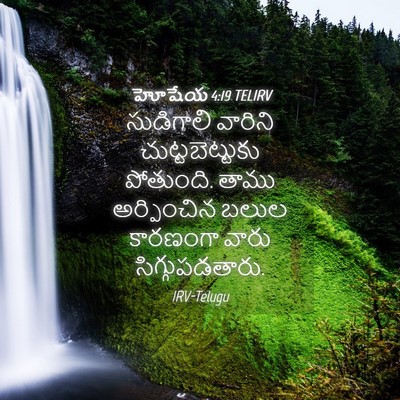 Picture 04 - హోషేయ 4:19 TELIRV - సుడిగాలి వారిని - Bible Verse Picture
