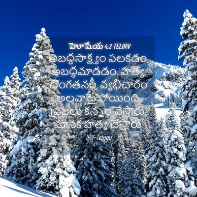 Picture 04 - హోషేయ 4:2 TELIRV - అబద్ధసాక్ష్యం - Bible Verse Picture