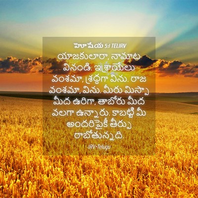 Picture 04 - హోషేయ 5:1 TELIRV - యాజకులారా, నామాట - Bible Verse Picture