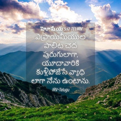 Picture 04 - హోషేయ 5:12 TELIRV - ఎఫ్రాయిమీయుల - Bible Verse Picture