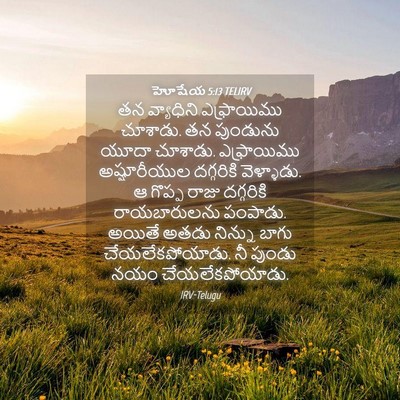 Picture 04 - హోషేయ 5:13 TELIRV - తన వ్యాధిని - Bible Verse Picture