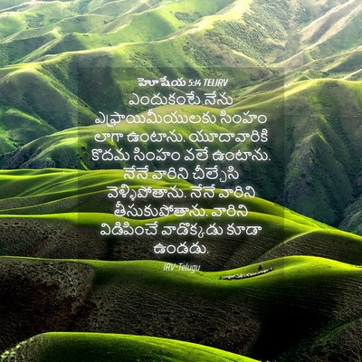 Picture 04 - హోషేయ 5:14 TELIRV - ఎందుకంటే నేను - Bible Verse Picture